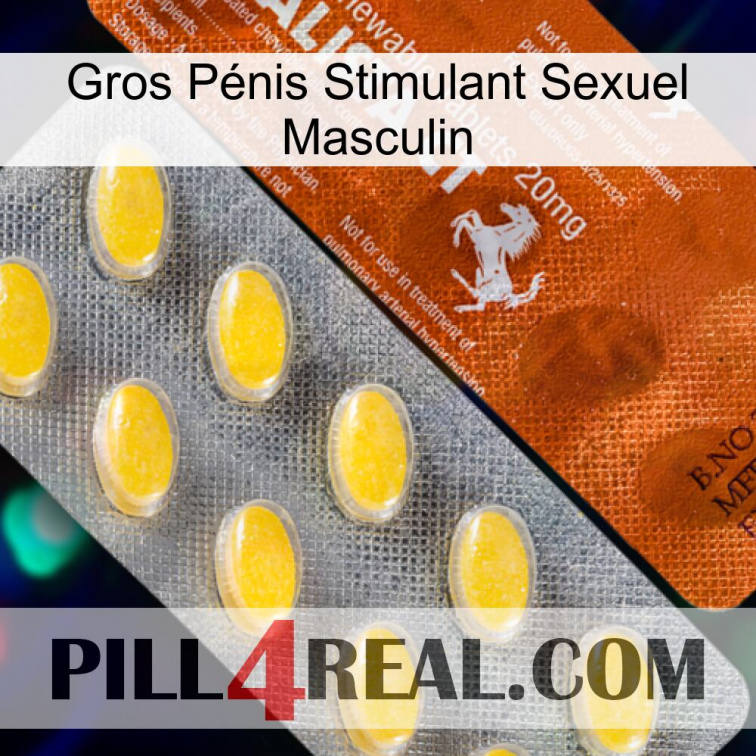 Gros Pénis Stimulant Sexuel Masculin 42
